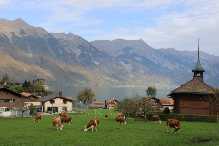Mit dem Camper durch die Schweiz – Fachwerk, Kuhglocken und Heidifeeling